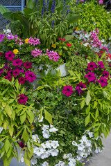 Naklejka premium A lush vertical flower planter overflows with vibrant magenta, pink, and white petunias mixed with green foliage.