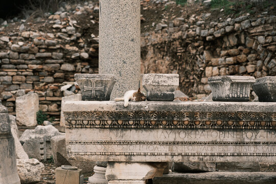 Ephesus izmir Turkiye roman ruins 
