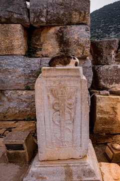 Ephesus izmir Turkiye roman ruins hermes
