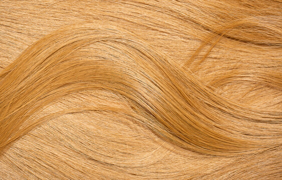 Blond hair close-up as a background. Women's long blonde hair. Beautifully styled wavy shiny curls. Hair coloring. Hairdressing procedures, extension.