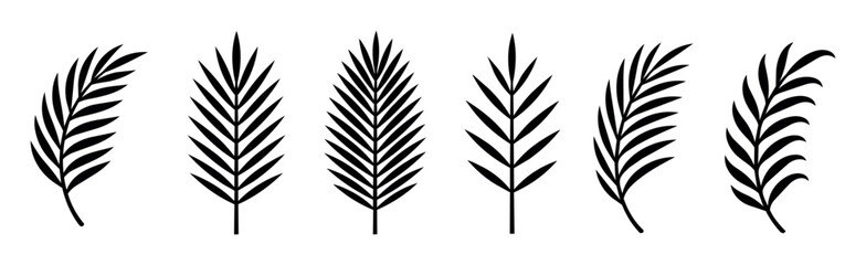 Obraz premium Set of black silhouette palm leaves in various shapes and styles. Vector tropical leaf illustrations collection for botanical design, nature decoration, summer themes, and graphic projects