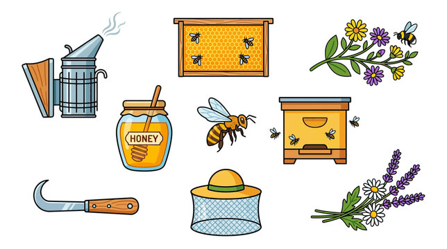 Beekeeping Equipment and Honey Illustration