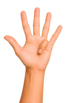 Hand showing number four. Human fingers gesturing count isolated on white background.