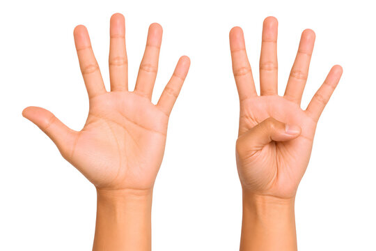 Hands showing numbers five and four. Human fingers gesturing count on white background.