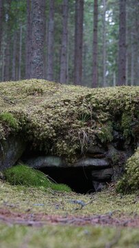 Small natural cave opening covered with green moss in a forest