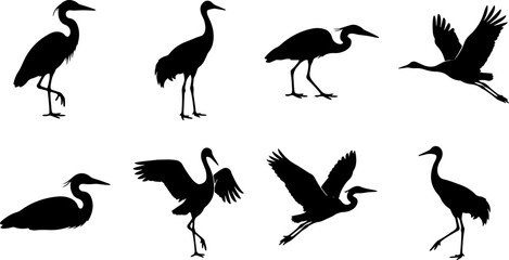 Fototapeta premium Detailed black silhouette illustrations of herons in various poses including standing walking and flying with wildlife silhouette standing waterbird migration