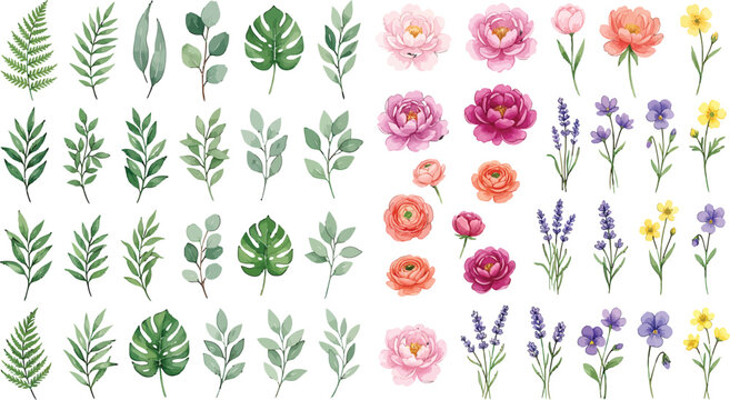 Watercolor floral and foliage collection featuring hand painted botanical elements for wedding invitations and decorative design projects