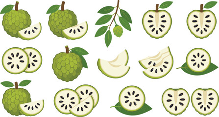 Fototapeta premium Fresh sugar apple custard apple and cherimoya vector elements set with whole fruits halves slices and green leaves isolated on white background.