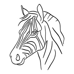 Obraz premium Zebra head with stripes in minimalist black and white line art style