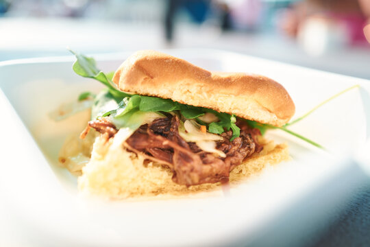 Pulled pork sandwich with arugula on a brioche bun