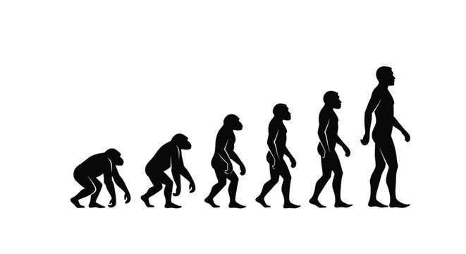 Illustrative depiction of human evolution from primate ancestors to modern humans in silhouette