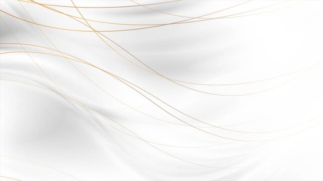 Grey white smooth blurred waves and golden curved lines abstract background. Elegant motion design. Seamless loop. Video animation Ultra HD 4K 3840x2160
