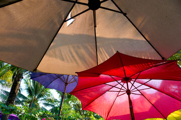 Colorful beach umbrellas against tropical palm trees, viewed from below © Sarawut Chareonsuk