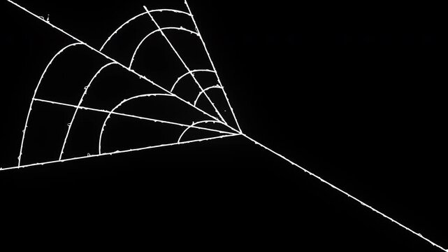 Animated spider web expansion effect with flexible elastic strands, dynamic tension motion design, pulsing cobweb structure and seamless black background horror overlay in ultra 4k loop