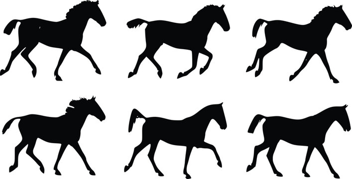 Horse gallop animation sprite sheet. Running equine movement sequence for game design.