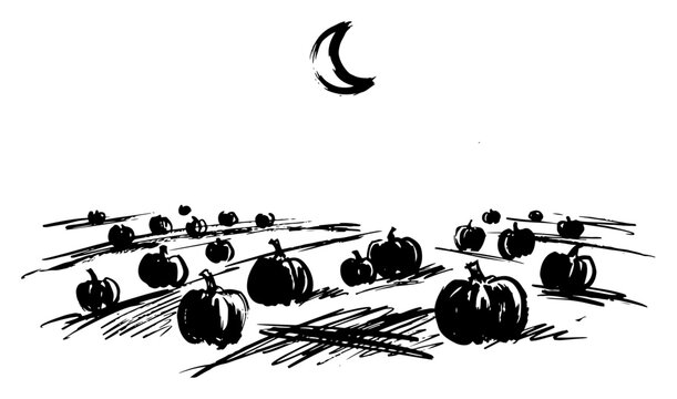 Pumpkin patch field under a crescent moon at night in atmospheric ink sketch style