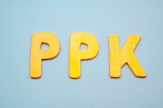 Inscription PPK (Employee Capital Plans)
