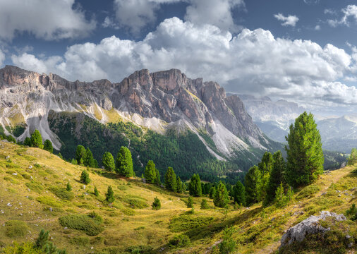 Panoramic alpine landscape of mountain range and pine trees in Dolomites, Italy. High altitude rocky peaks with green valley, grass field and cloudy blue sky on sunny summer day in Italian Alps.