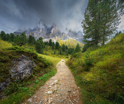 Hiking dirt path leading to mountain peaks in low clouds in Dolomites, Italy. Summer alpine landscape with gravel trail, pine trees, green grass meadow and dramatic dark sky over rocky mountains.