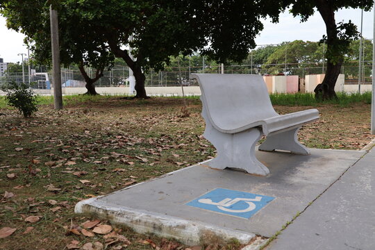 Concrete bench with accessible parking symbol painted on the ground in a park setting with trees and fallen leaves