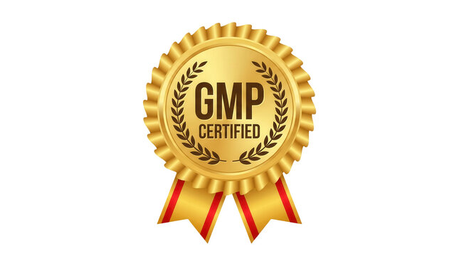 Gold GMP certified badge with embossed laurel wreath, crimped edges and flowing red and gold ribbon isolated on transparent background, quality certification seal
