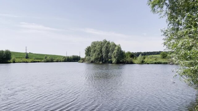 A pond surrounded by greenery on a windy summer day