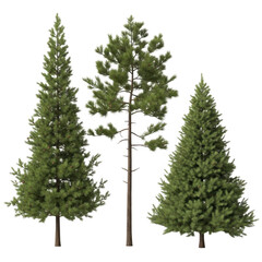Fototapeta premium A snowy landscape featuring three tall evergreen trees