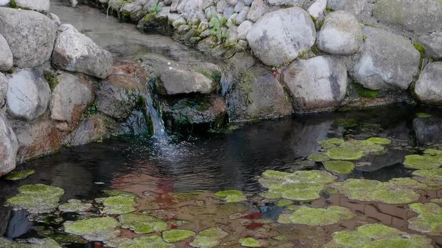 Small stream flowing into pond with stone waterfall and green aquatic plants in park