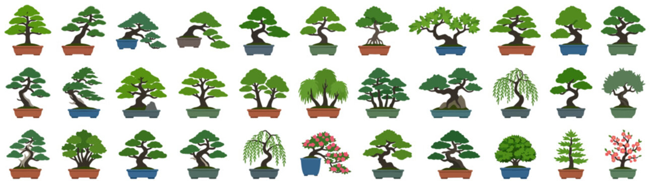 Collection of Isolated Bonsai Trees in Pots, Diverse Styles and Shapes