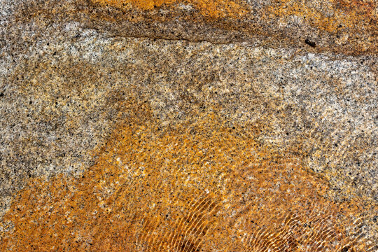 Patterns on a rock surface near a water source