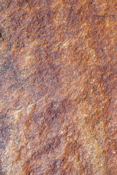 Close view of textured rock surface in sunlight