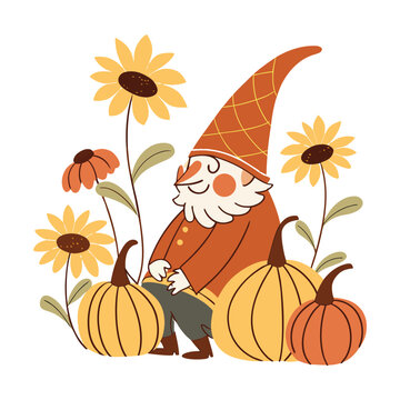 Autumn garden gnome vector illustration, cute fall tomte with pumpkins and sunflowers, whimsical harvest gnome character for seasonal greeting cards