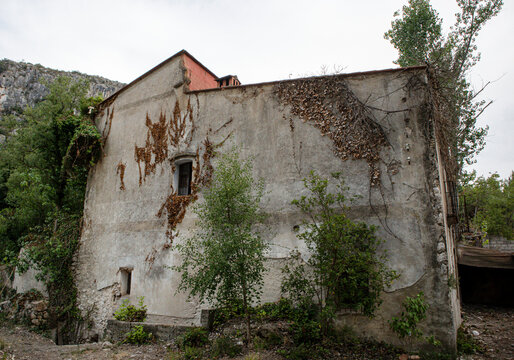 Historic Spanish hacienda stands abandoned among wild nature and green foliage in a forgotten area