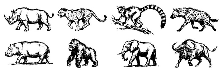 Safari animals set including rhino leopard lemur hyena hippo gorilla elephant and buffalo in hand drawn sketch style © Logan