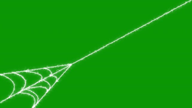 2d spider web rapidly stretching and contracting its elastic on green screen, realistic elastic thread motion, spooky halloween overlay, high detail cobweb vfx element for action scenes, 4k loop