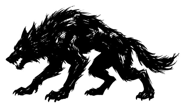 Aggressive werewolf or monster wolf creature for horror theme hand drawn sketch style