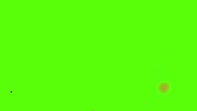 Colorful Confetti Falling Green Screen Overlay Loop Chroma Key Celebration Animation