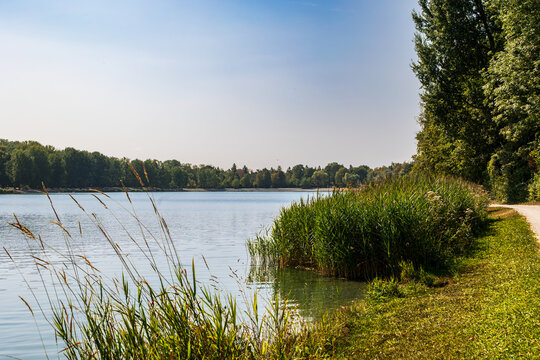 Scenic lake with grassy shore and trees, Germany, Bavaria, Augsburg Kuhsee, 2 August 2026