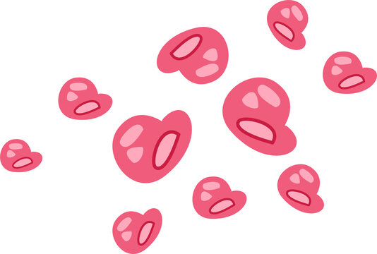 clamydia trachomatis infection bacteria illustration