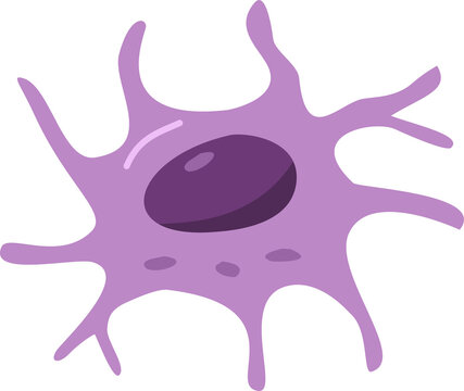human bone cell illustration system biology element