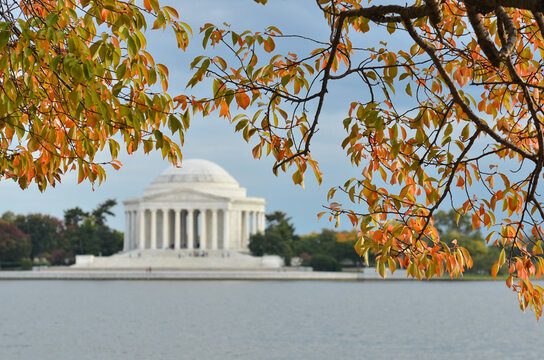 Jefferson Memorial during autumn - Washington D.C. United States of America
