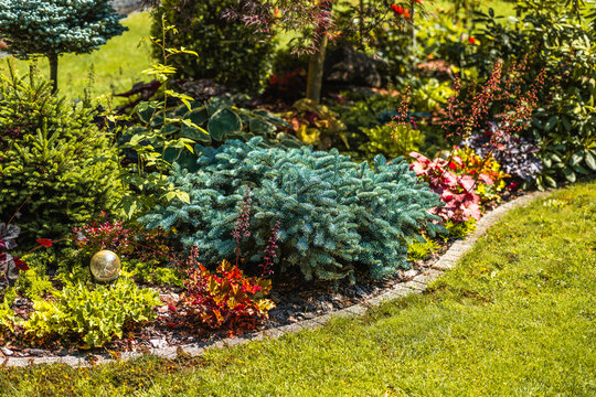 Garden plants and flowers in a sunny outdoor space with green grass