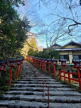 kifune 