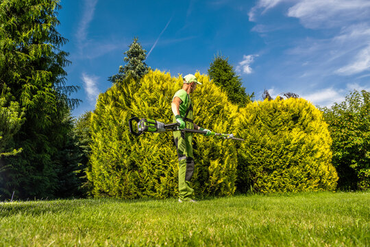 Man using hedge trimmer in a garden with green bushes on a sunny day