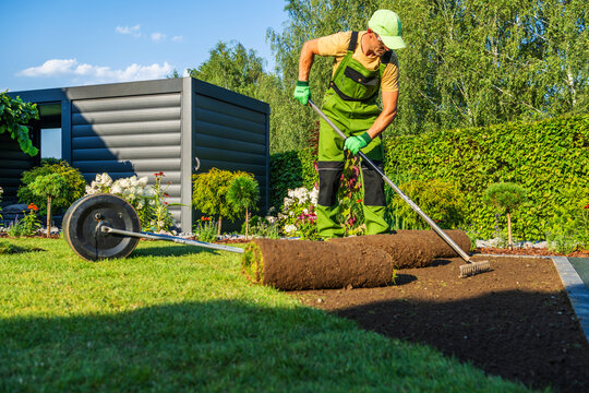 Man lays sod in a garden during daytime in a green backyard