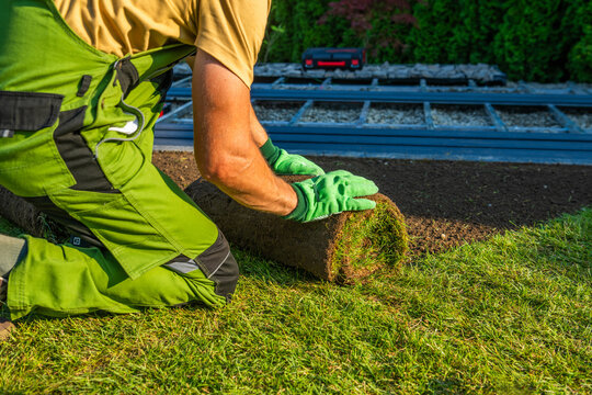 Man laying down sod in a garden during the day