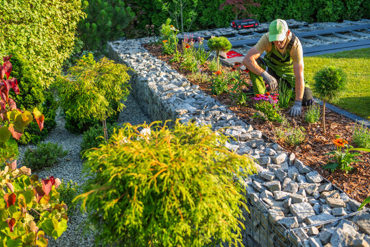 Gardener planting flowers in a landscaped garden during sunny day