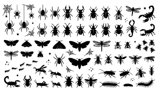 Halloween Creepy Insect Silhouettes Black Vector Icon Pack