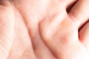 Fototapeta premium close up of human hand. Human palm and life lines close up, palmistry science, white man palm. Close-up of open human hand palm facing upward with visible life lines and natural skin texture 