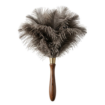Ostrich feather duster with walnut handle for cleaning. Elegant dusting tool for home and professional use.